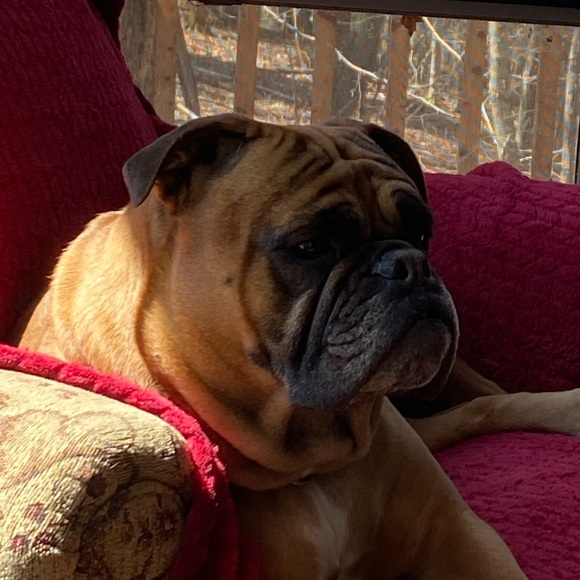 Meet your Posher, Robin - Picture 1 of 1